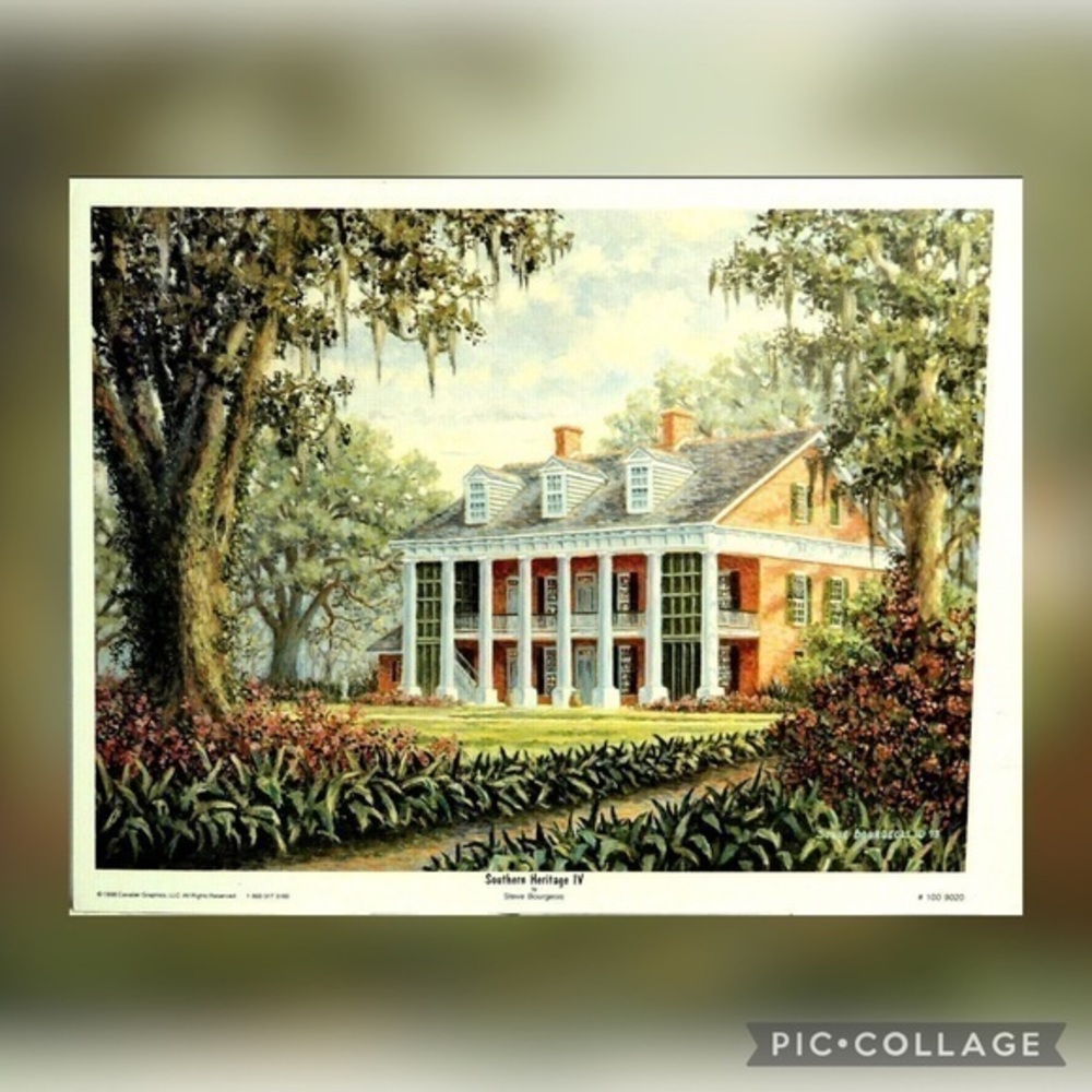 Steve Bourgeois’s Southern Heritage IV Shadow On The Teche New Iberia, La
